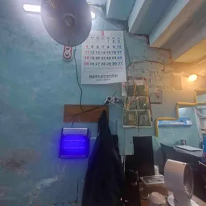 지하식당 리뷰 사진