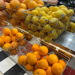 아메리칸트레일러 리뷰 사진