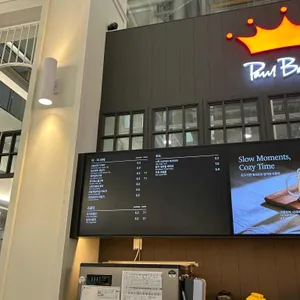 폴 바셋 리뷰 사진