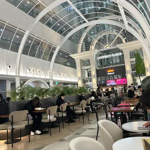 폴 바셋 리뷰 사진