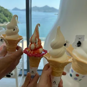 아이스크림 먹는 곰 리뷰 사진