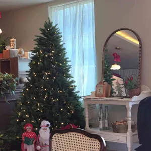 파나셰 리뷰 사진