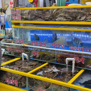 영재수산 리뷰 사진