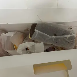 던킨도너츠 리뷰 사진