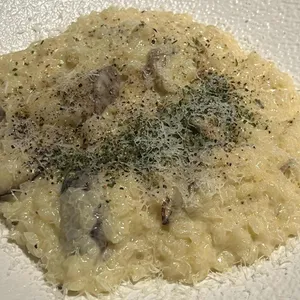 엘씨오 대표 사진