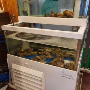 상록회관연탄구이 리뷰 사진