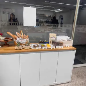 태양 대표 사진