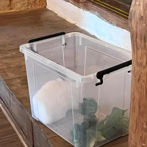 카페리즌 리뷰 사진