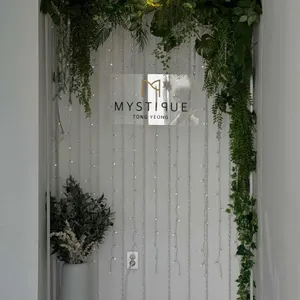 미스티크 사진 2