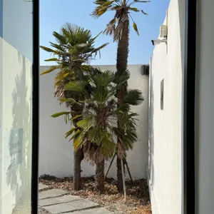 미스티크 대표 사진