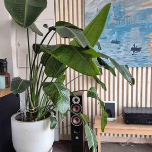 임프레션 커피 컴퍼니 리뷰 사진