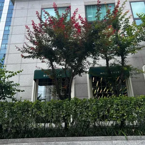 북쌔즈 대표 사진