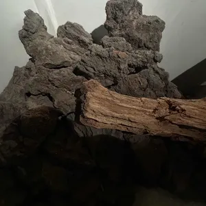 티프 리뷰 사진