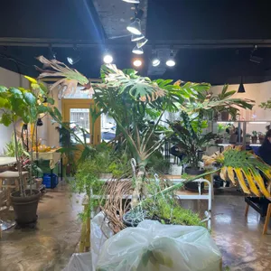 카페 옐로우립 리뷰 사진