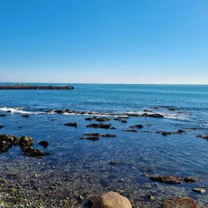 헤이든 리뷰 사진