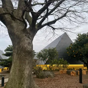 유지 커피웍스 리뷰 사진