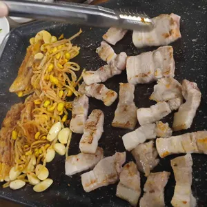 비닐집 대표 사진