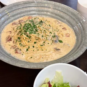 파쏘 대표 사진