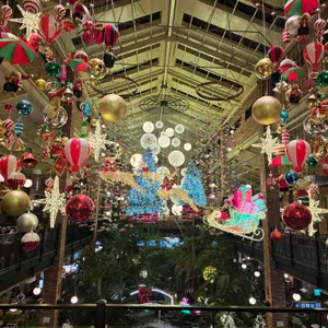 포레스트 아웃팅스 리뷰 사진