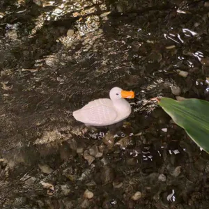 포레스트 아웃팅스 리뷰 사진