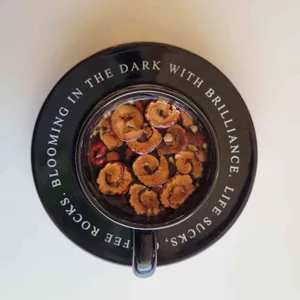 그리네 오아시스 리뷰 사진