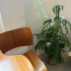 이에즈 리뷰 사진