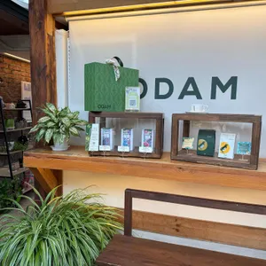 오담 리뷰 사진