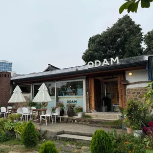 오담 리뷰 사진