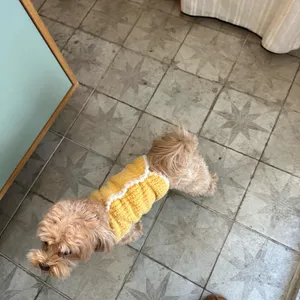 피클 리뷰 사진