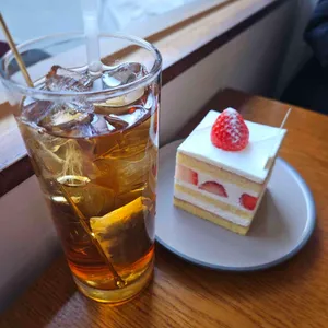 쇼토 리뷰 사진