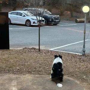 인주카페 리뷰 사진