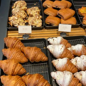 디그리 리뷰 사진