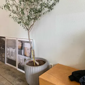 디그리 리뷰 사진