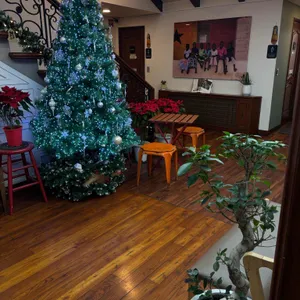 모이커피클래식 리뷰 사진