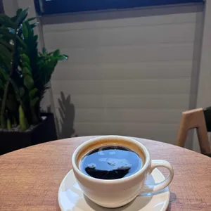 더 논치크 사진 1