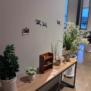 더 논치크 리뷰 사진