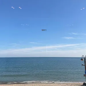 웨스 리뷰 사진