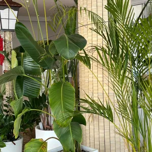 스컹크웍스 리뷰 사진