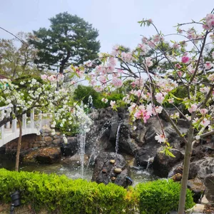 빈로드 리뷰 사진