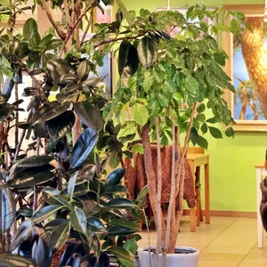 물왕버섯농원 리뷰 사진