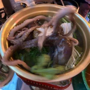 신호등포차 사진