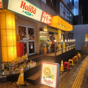 하이바 리뷰 사진