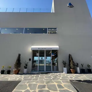 블루샥 리뷰 사진