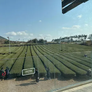 이니스프리 리뷰 사진