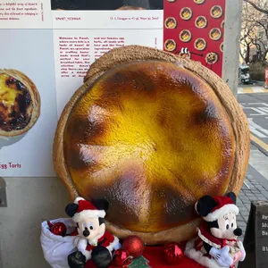 파네트 리뷰 사진