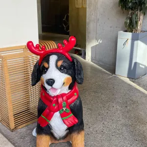 파네트 리뷰 사진