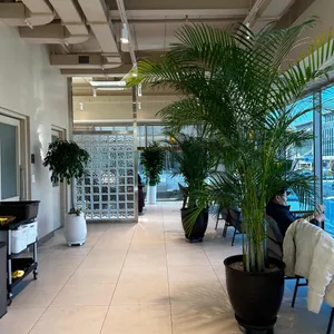 좋은아침페스츄리 리뷰 사진