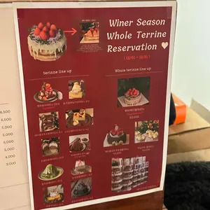 블리스냅 리뷰 사진