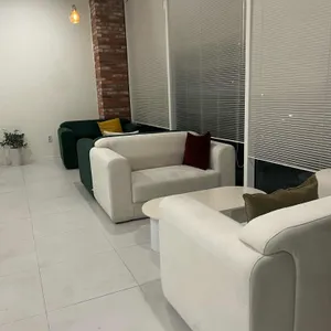 볼볼 리뷰 사진