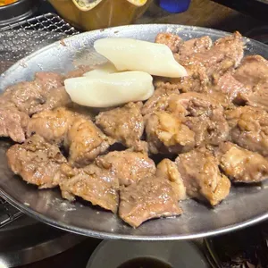 서울갈매기 사진